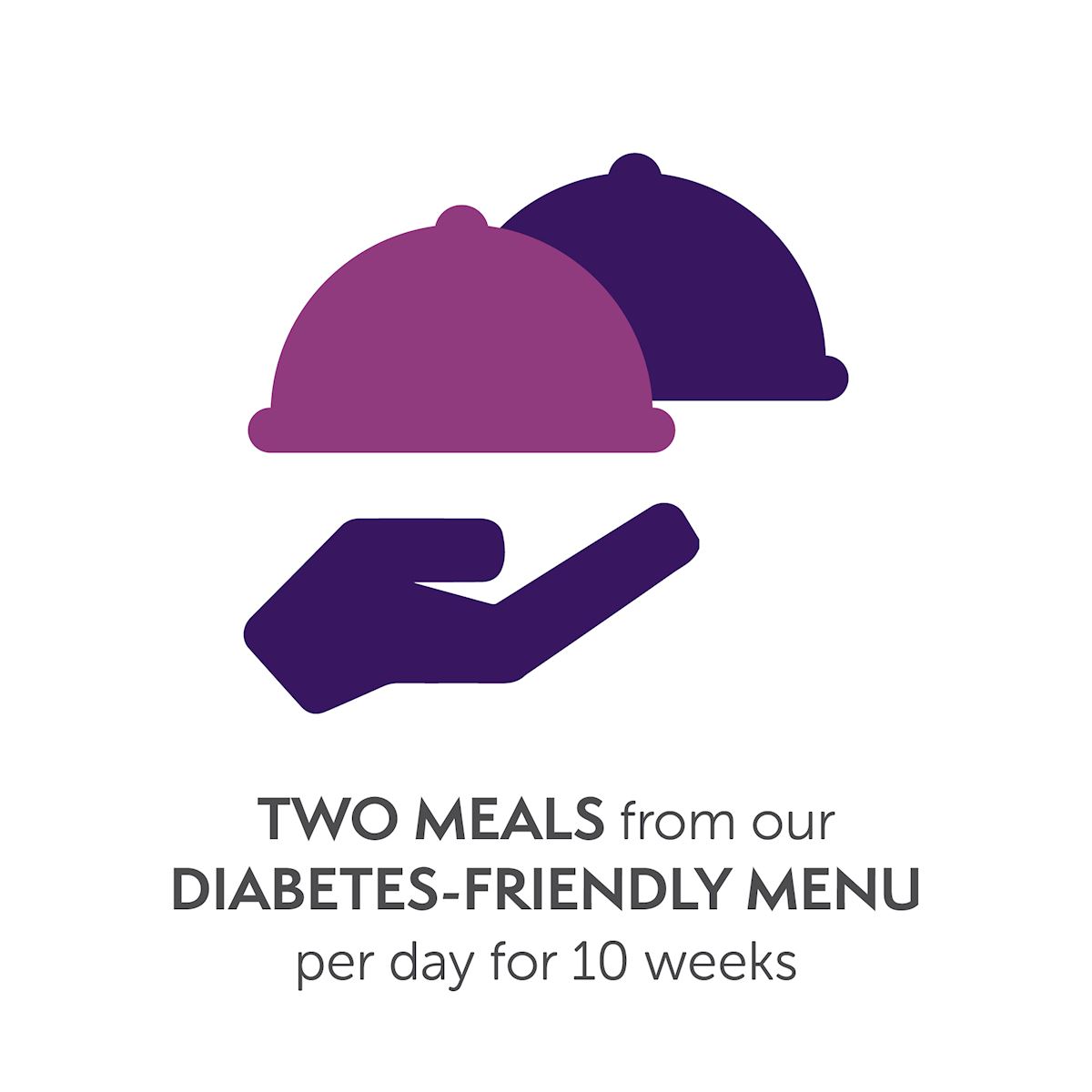Two meals from our diabetes-friendly menu per day for 10 weeks